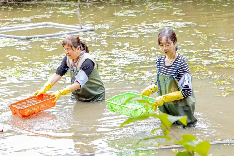每年4月22日為世界地球日，吳欣盈呼籲大家一起透過行動開始，愛我們的環境與地球。吳欣盈臉書