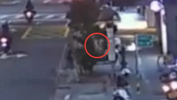 蔡男砸完佈告欄後，還一路後退到馬路中間，相當危險。翻攝畫面