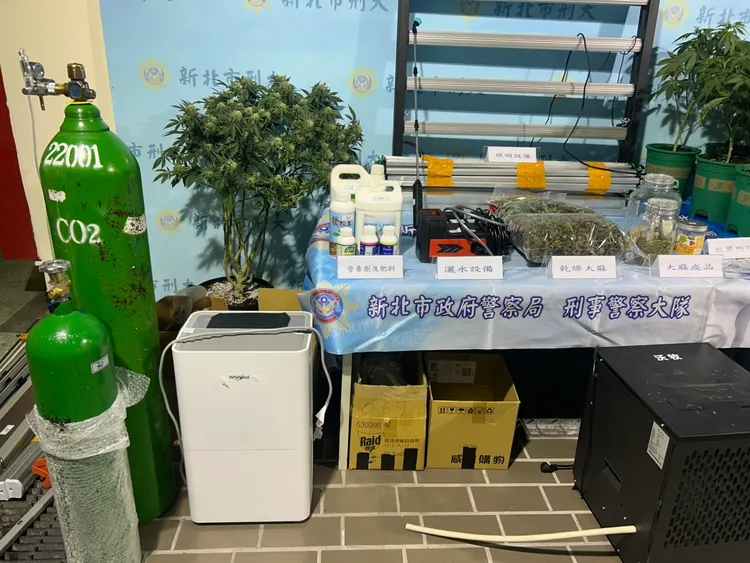 陳姓移工以「阡插法」方式種植大麻，並架設自動化電子設備24小時調控。警方提供
