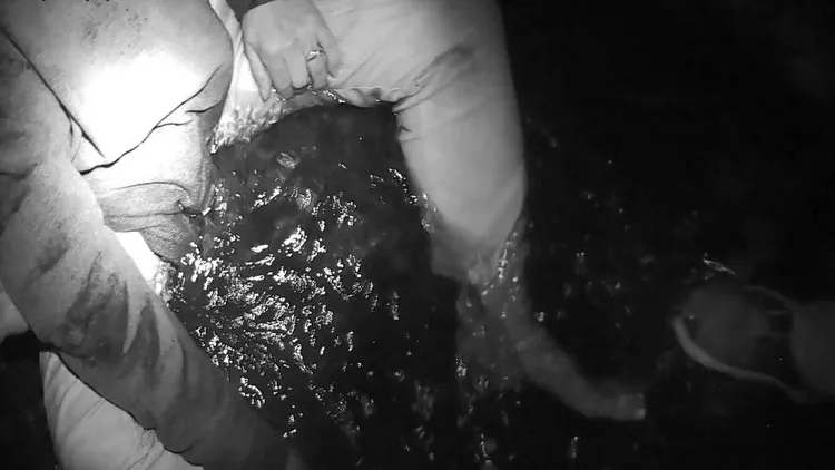 老婦跌坐河床。桃園警分局提供