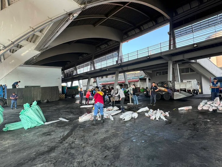 專案小組搜索漁船及船長住處等，清點漁獲時發現證據。屏檢提供