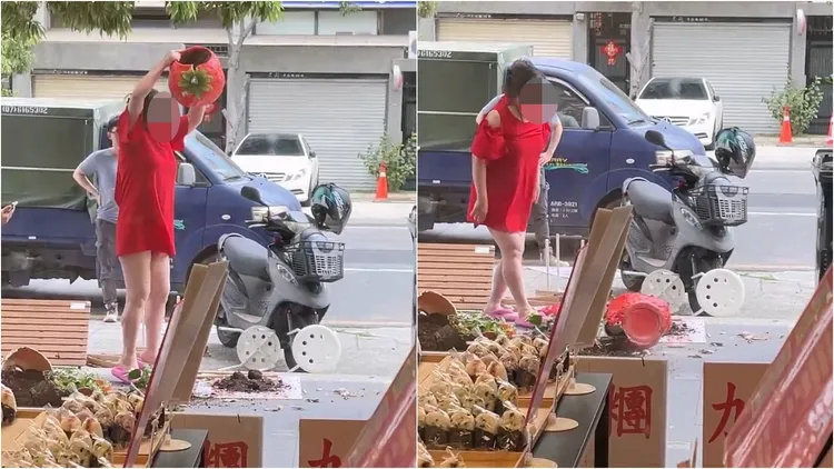 女房東砸日本飯糰店盆栽。翻攝畫面