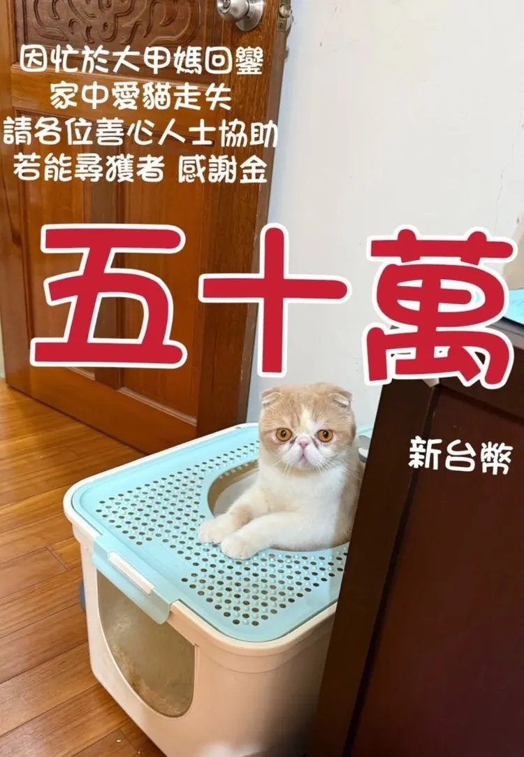 翻攝《沙鹿之美》社團