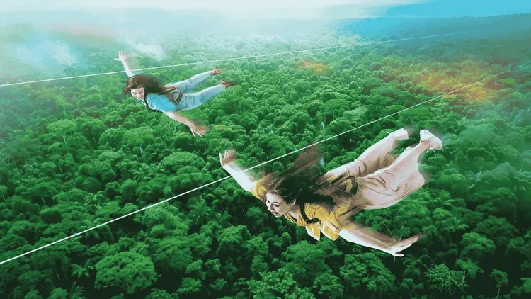 「SKY PHOENIX」長達280公尺的高空飛索，讓旅客橫越原始叢林。業者提供