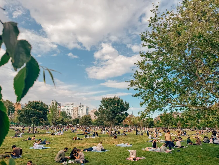 當地民眾在停電後前往戶外野餐情景。翻攝自X
