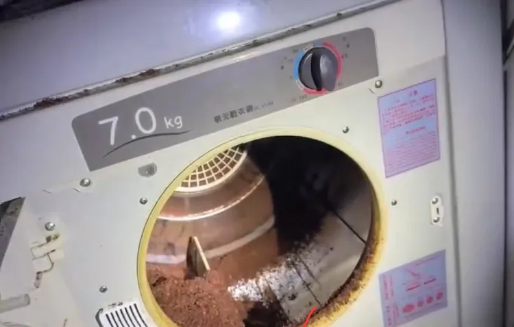 毒菸草經由烘乾機製作。翻攝畫面