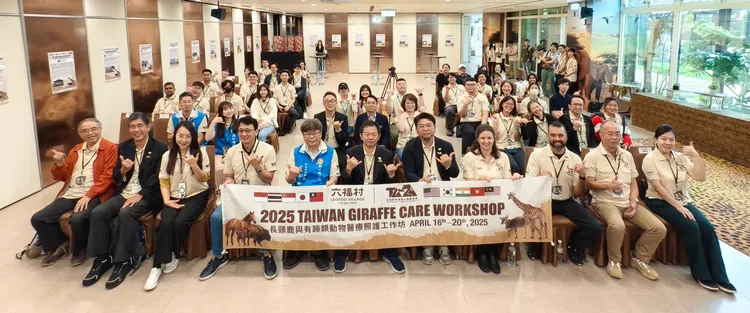 長頸鹿與有蹄類動物醫療照護工作坊六福村登場。六福村提供