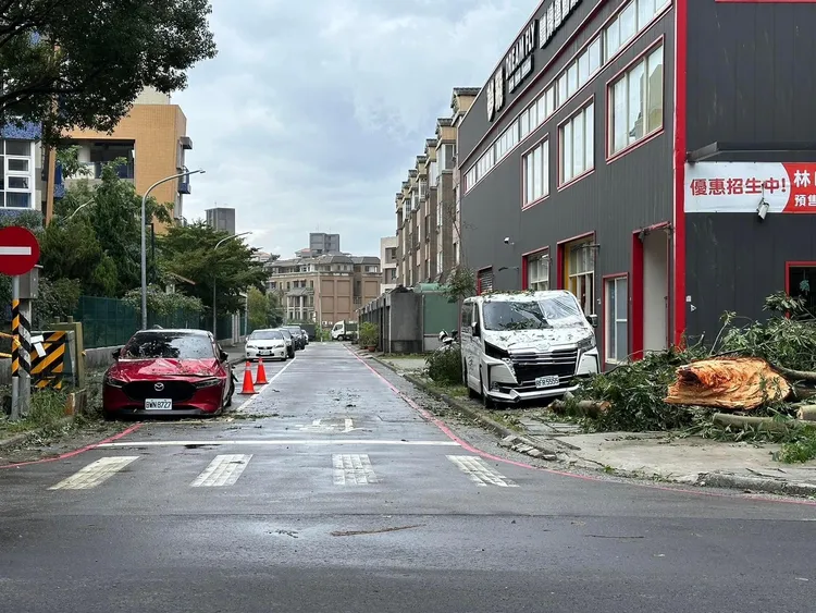 樹木移開後，2名車主看到愛車多處凹陷受損簡直傻眼，維修費總額上看150萬元，欲哭無淚。投訴人提供