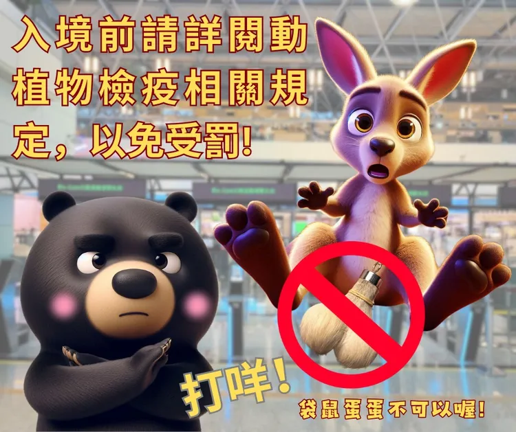 駐墨爾本台北經濟文化辦事處曾提醒，「袋鼠蛋蛋」所製作而成的鑰匙圈、開瓶器等動物產品不可入境台灣。取自Taiwan in Melbourne