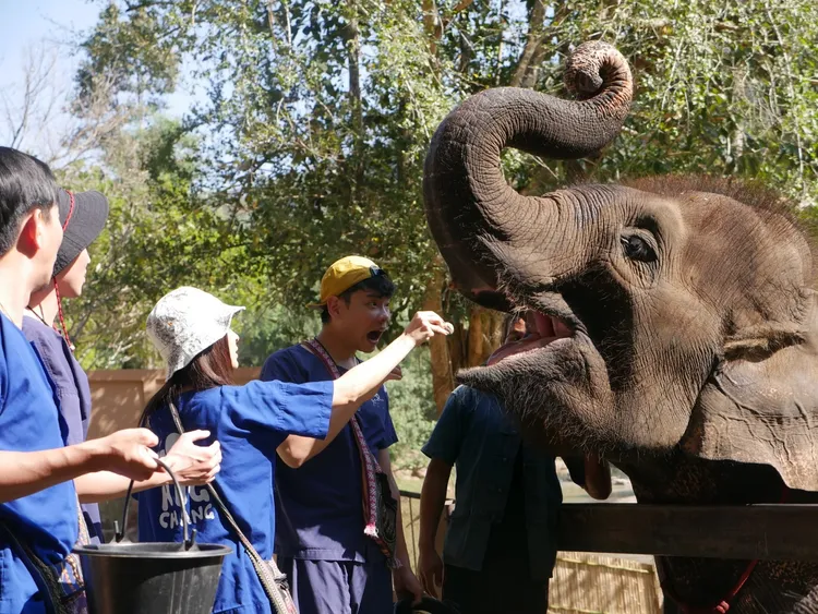 《上山下海過一夜》體驗當象伕。三立提供