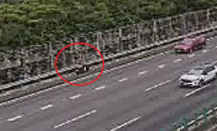 杜女誤從西濱快速道路騎上國3竹南交流道。民眾提供