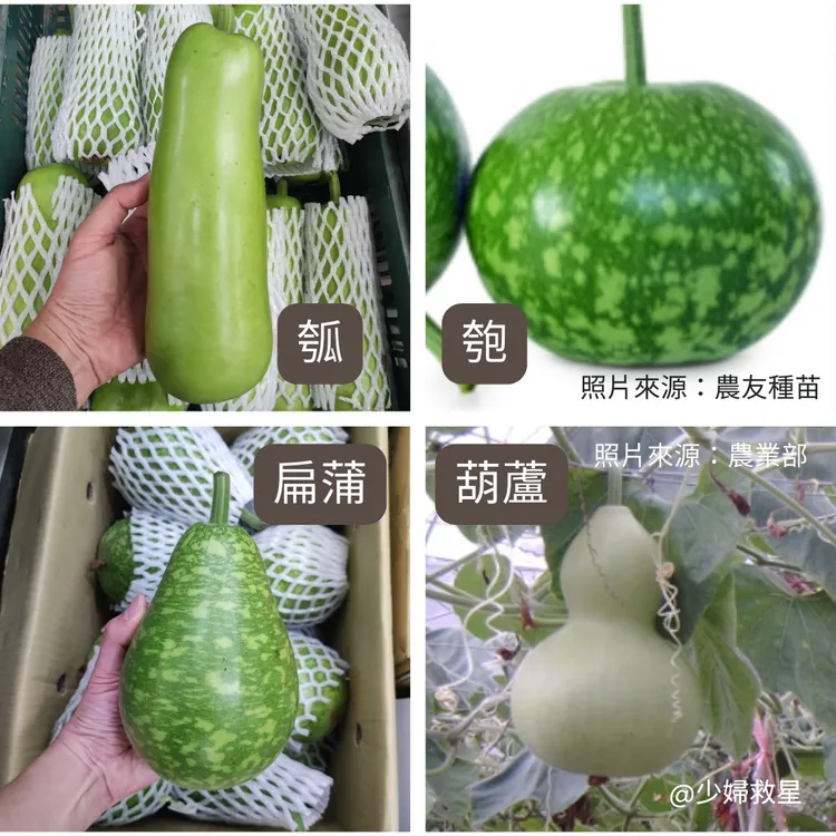 瓜類有很多種。翻攝自廖炯程臉書