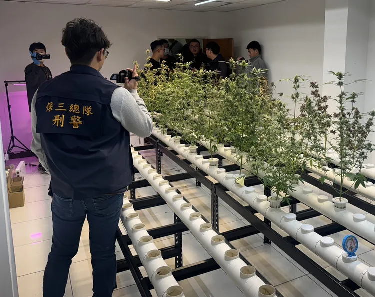 警方在李嫌住家地下室查獲這處「循環式水耕技術」的大麻植栽場。警方提供