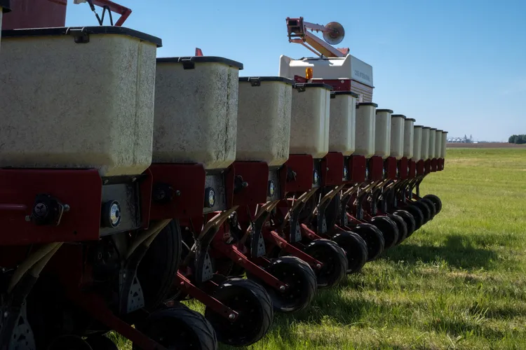美國伊利諾州的大豆田。路透社