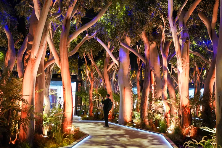 造景反映自然與原住民生活。田欣雲攝影