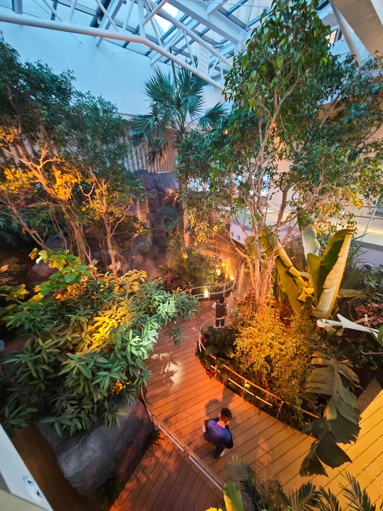 宛如熱帶雨林、雲霧繚繞的自然區。田欣雲攝影