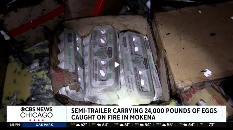 雞蛋紙箱都被消防灌救水浸濕。CBS