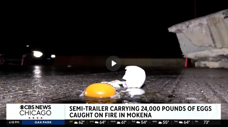 一顆雞蛋跌破在地上。CBS