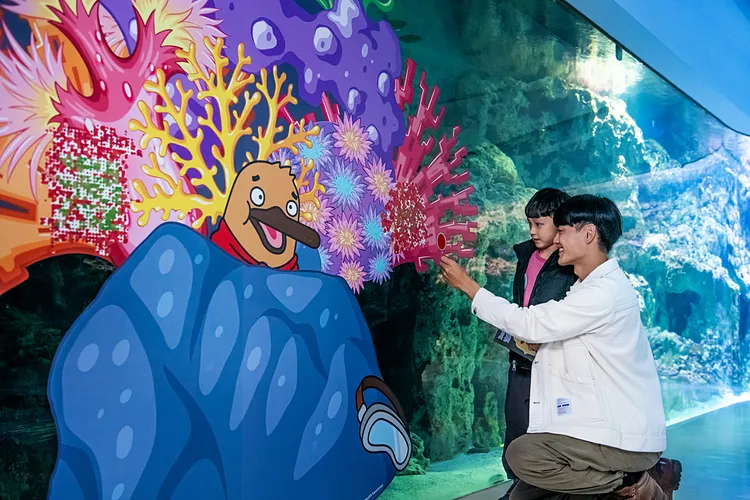 珊瑚區搜查行動。業者提供