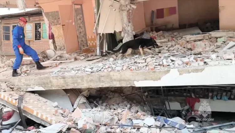 緬甸大地震之後，俄羅斯救難隊與救難犬在緬甸協助搜救受困民眾。路透社
