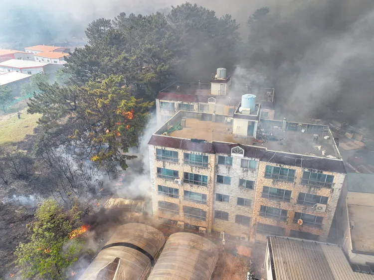 南韓大邱野火威脅住宅區。路透社