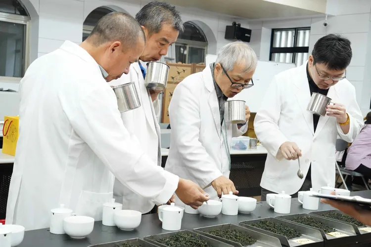 坪林區農會昨(24)日辦理新北好茶春季包種茶市級評鑑。農業局提供