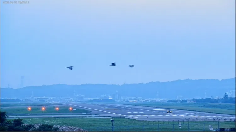 華航CI064班機今凌晨落地時疑遭鳥擊，機場人員清理現場，跑道關閉35分。翻攝畫面