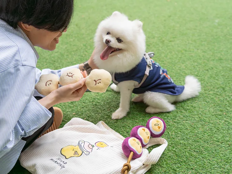 Second Morning聯名寵物繩。爭鮮提供