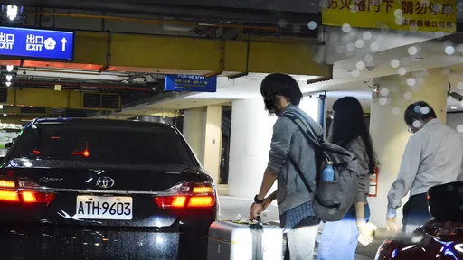 又一起!监委林郁容被爆「公务车机场接送亲友」