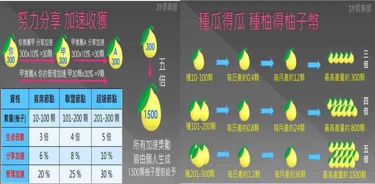 詐團投資會的簡報很像是「多層次傳銷」。檢方提供