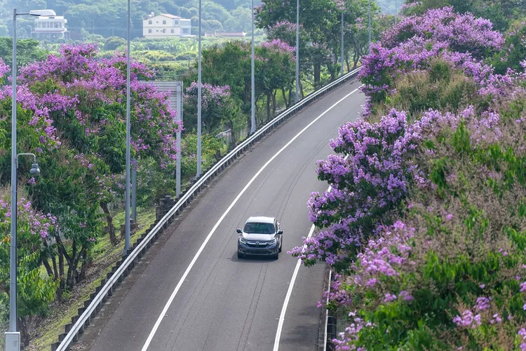 國道10號嶺口交流道大花紫薇景觀。高公局提供