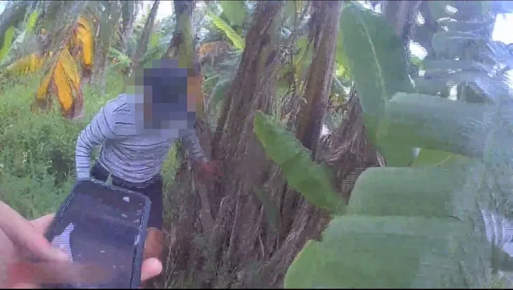 員警衝入香蕉園內逮人。警方提供