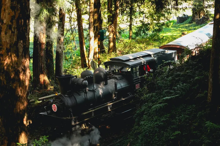 阿里山沼平車站蒸汽小火車。阿里山賓館提供