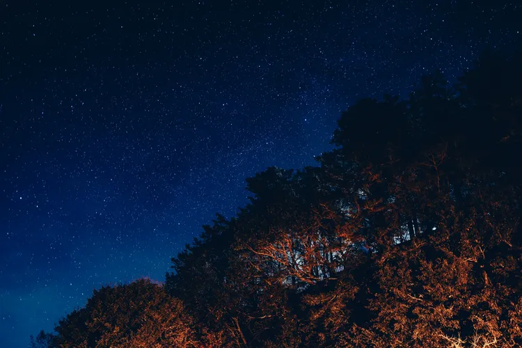 五月天空盛宴，在無光害、視角寬廣視野，觀賞璀璨星辰。世界大旅社陳耀恩提供