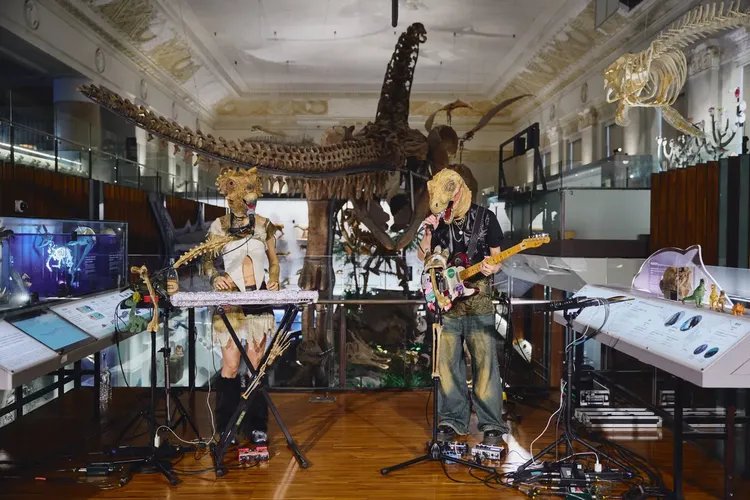 恐龍的皮。好多音樂提供