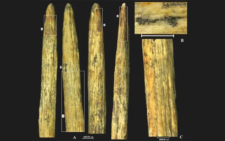 矛尖經過分析是動物骨頭製作。PHYS.ORG