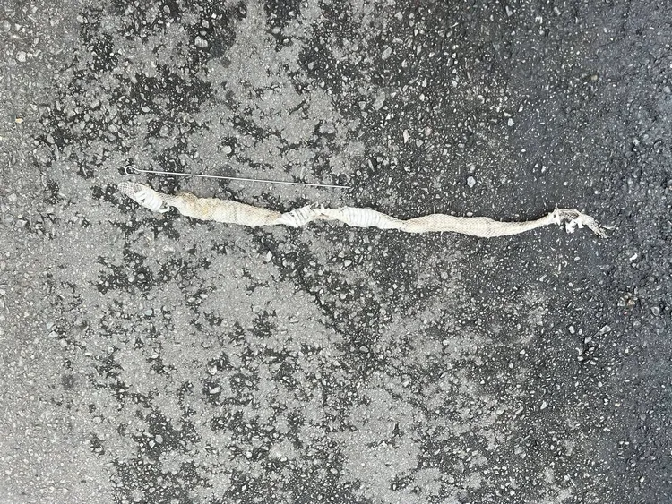 翻攝《●【爆廢公社公開版】●》社團