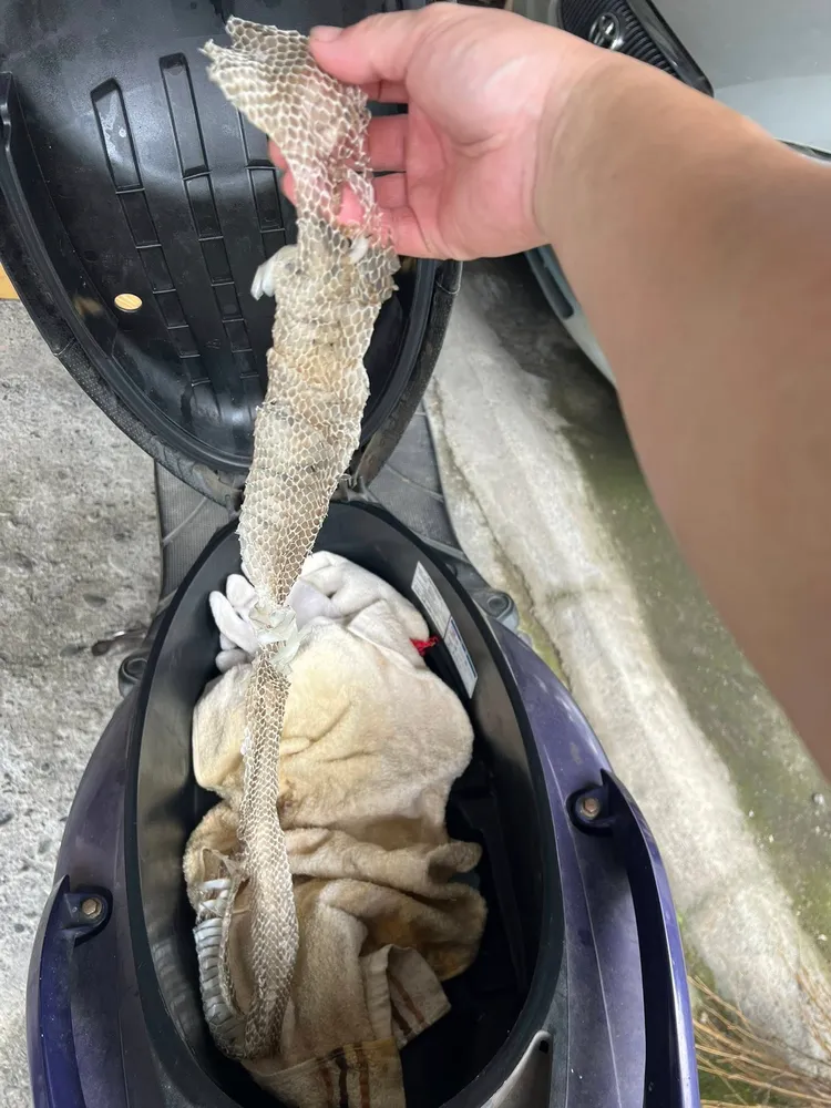 翻攝《●【爆廢公社公開版】●》社團