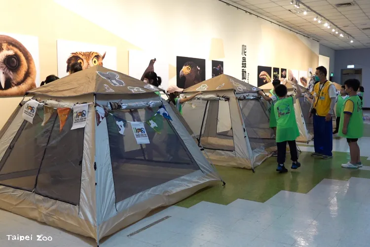 夜宿動物園體驗營也將再度登場。台北市立動物園提供