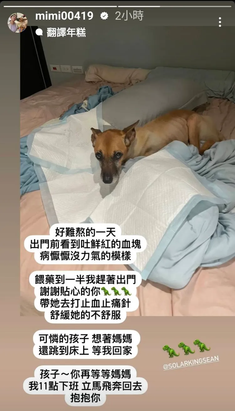米可白標記孫綻感謝他幫忙照顧錢錢。翻攝自米可白IG