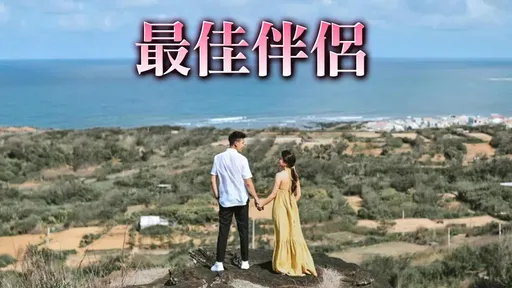 要愛就愛這款人 3生肖為感情百分百付出