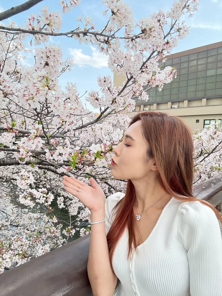 吳申梅在櫻花樹下拍照。放音樂提供