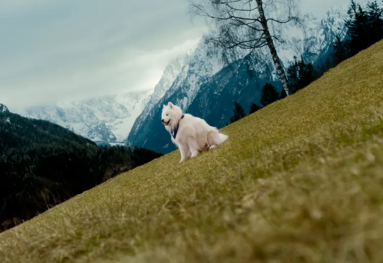 Felix的活力樣貌被ASICS相中，成為最新品牌大使。品牌提供