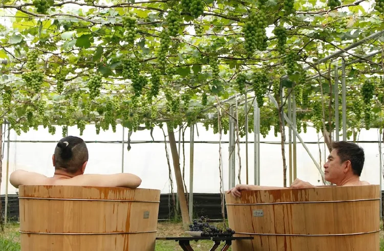 邰智源、洪都拉斯。公視台語台提供