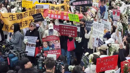 剴剴案遭控失職 綠委林月琴:勿用政治話術消費已逝生命