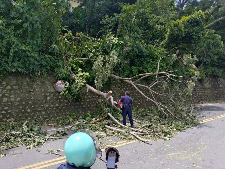 路過騎士看到警員持電鋸鋸樹畫面，感到新奇。翻攝畫面