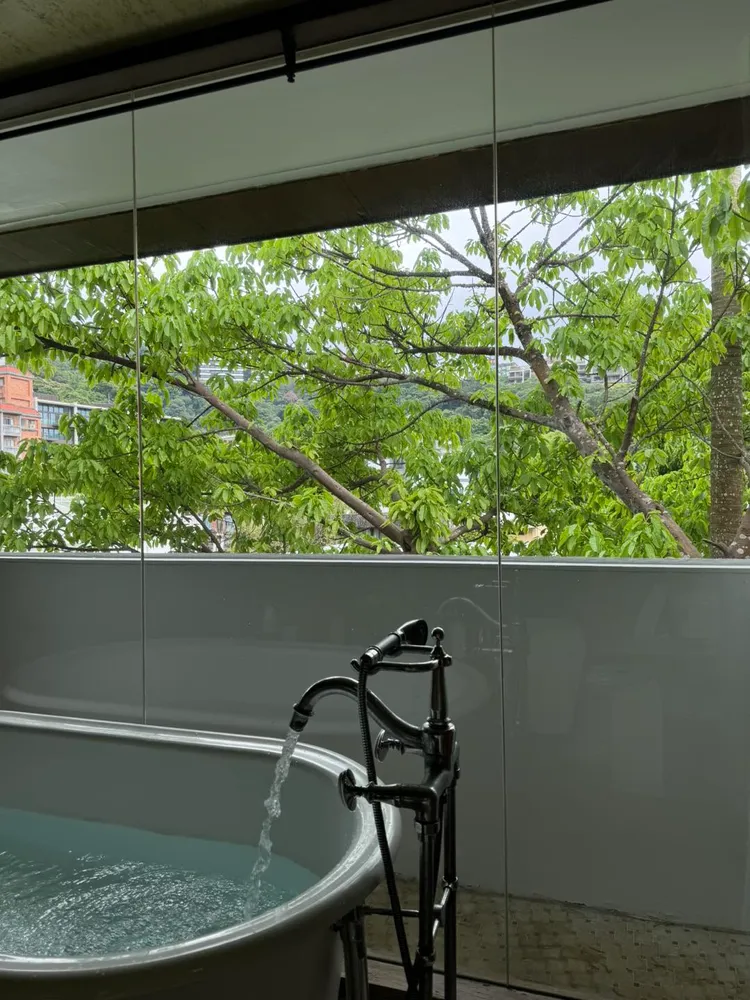 陳文茜曝光陽明山豪宅內泡澡處。翻攝自陳文茜臉書