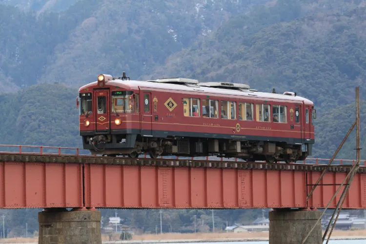 KKday推出更多一人成行的一日遊商品。圖_KKday提供