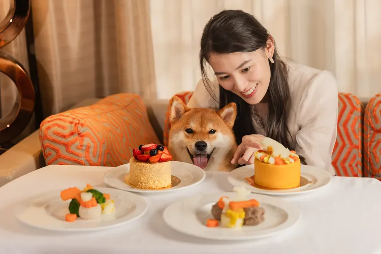 毛孩爸媽可在客房內輕鬆點餐，與愛寵共享專屬溫馨食光。業者提供