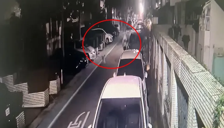 姚男溜狗兼行竊。警方提供